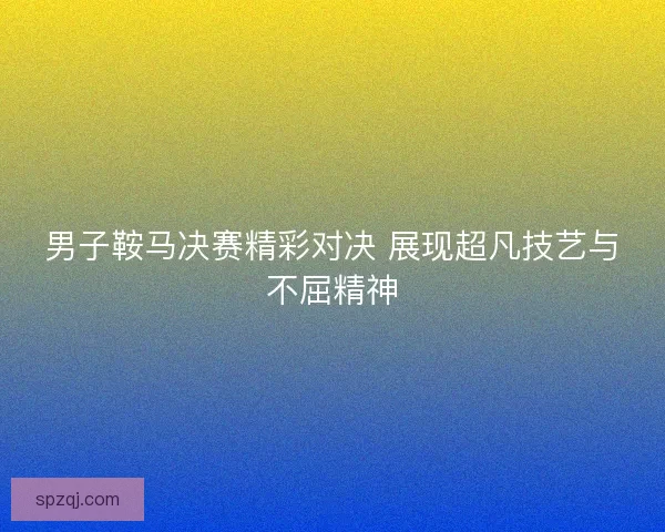 男子鞍马决赛精彩对决 展现超凡技艺与不屈精神